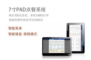 北京蜂翼天使网络科技 以创新技术编织未来网络蓝图