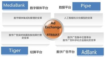 传合网络科技图册 计算机软硬件全景解析